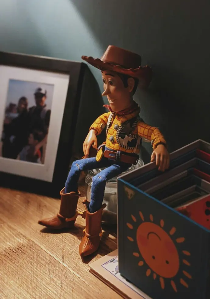 boy in cowboy costume standing on wooden box